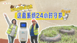 文章附图